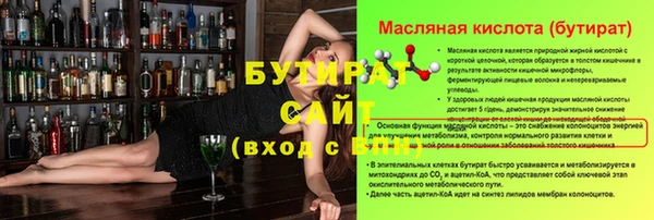 шишки Каменногорск