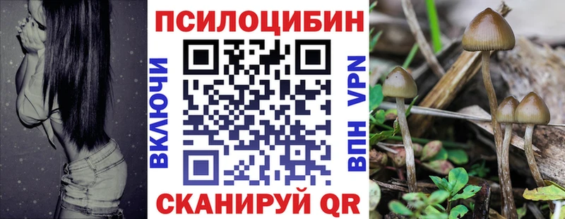 Псилоцибиновые грибы мицелий  хочу наркоту  Ивдель 